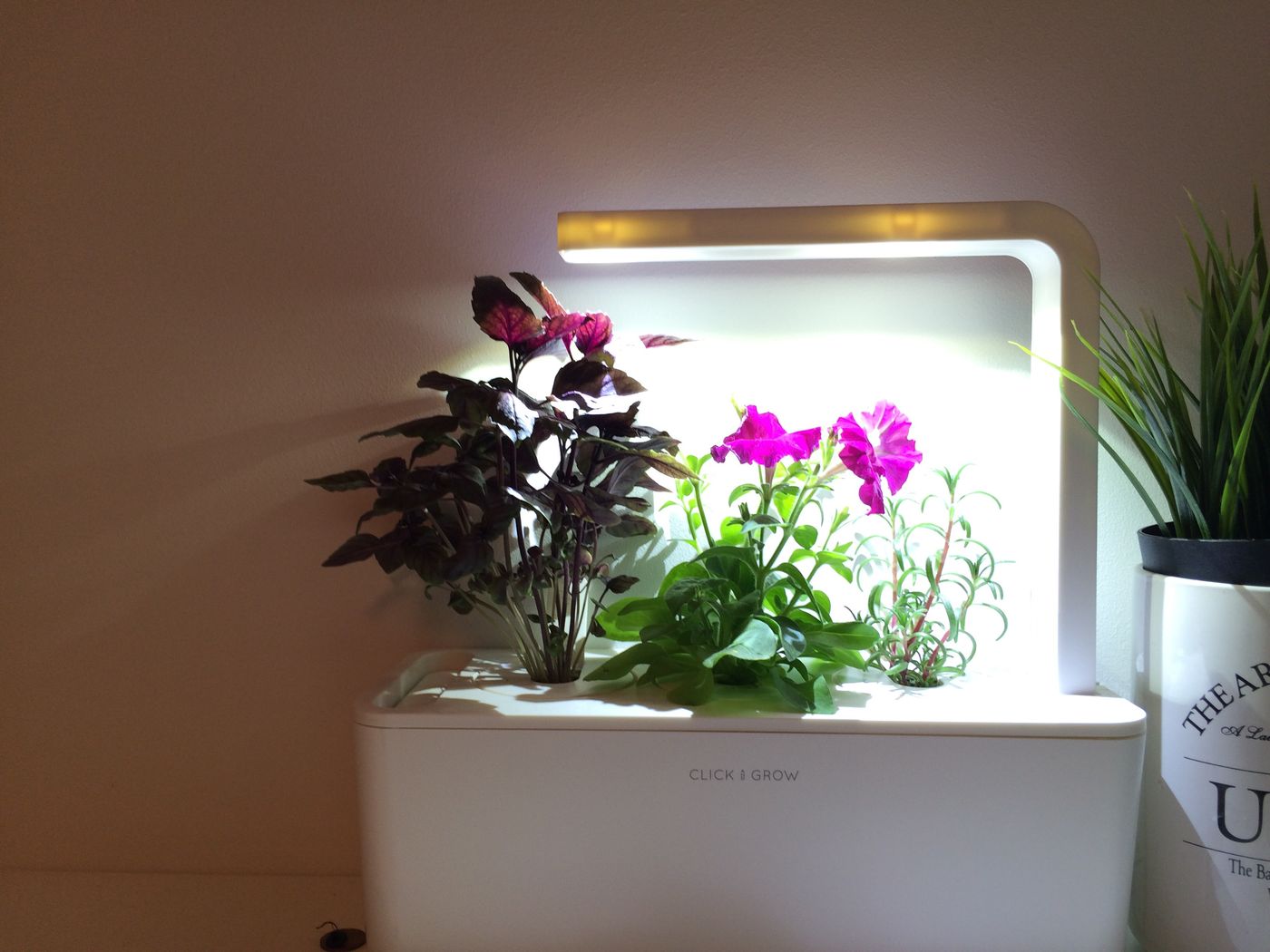Smart countertop herb garden kit